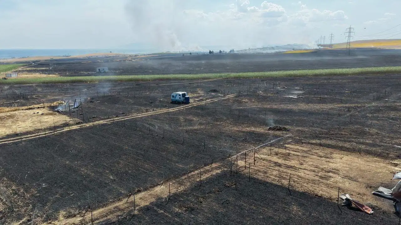 Tekirdağ’da 2 farklı noktada çıkan yangın söndürüldü: 700 dönümlük alan ve 20 konteyner kül oldu