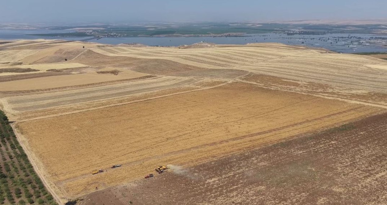 Kupkuru arazide yetiştirip kilosu 45 TL’ye satıyorlar: O şehrimizde rekor artış yaşandı Img